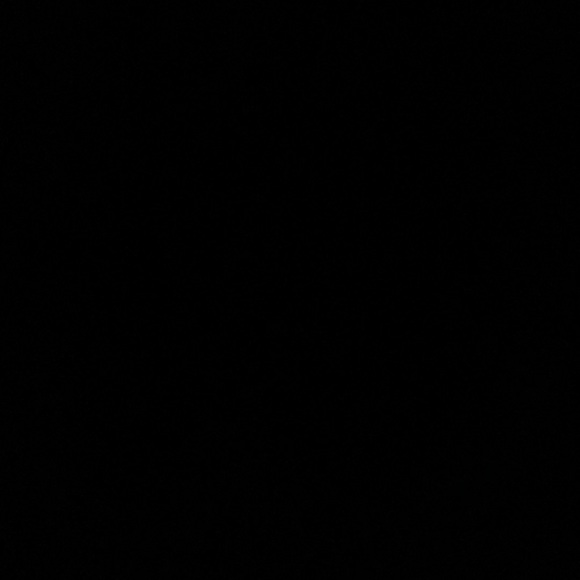 Meet your Posher, Dana - Picture 1 of 1